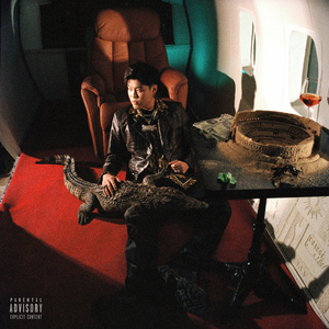 大鸡吧插少妇的穴
