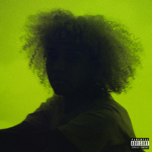 大鸡吧插少妇的穴
