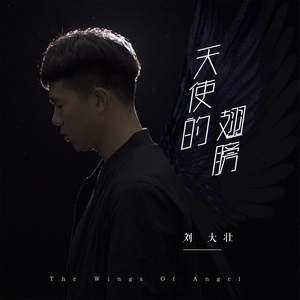 大鸡吧插少妇的穴
