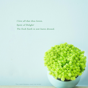 大鸡吧插少妇的穴
